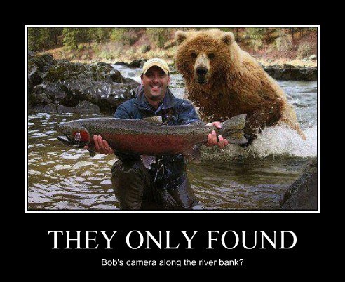 Salmon Hey Dudes: Funny Memes and More