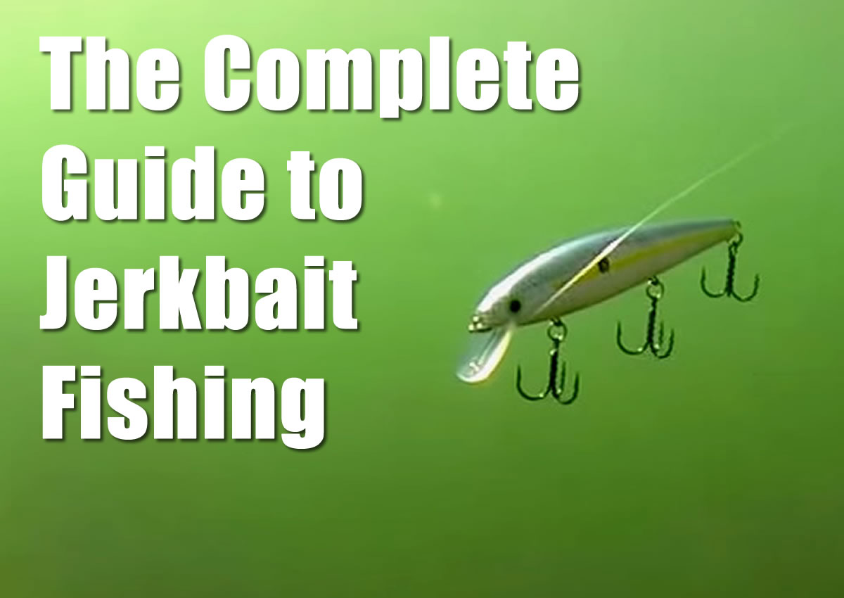 Jerkbait for Bass: The Ultimate Guide for Beginners