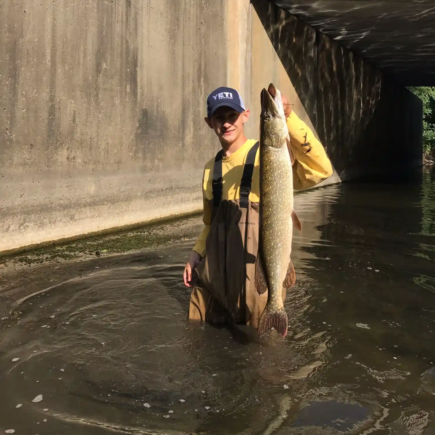 Rogue River Michigan Fishing Report: Latest Fish Activity & Photos