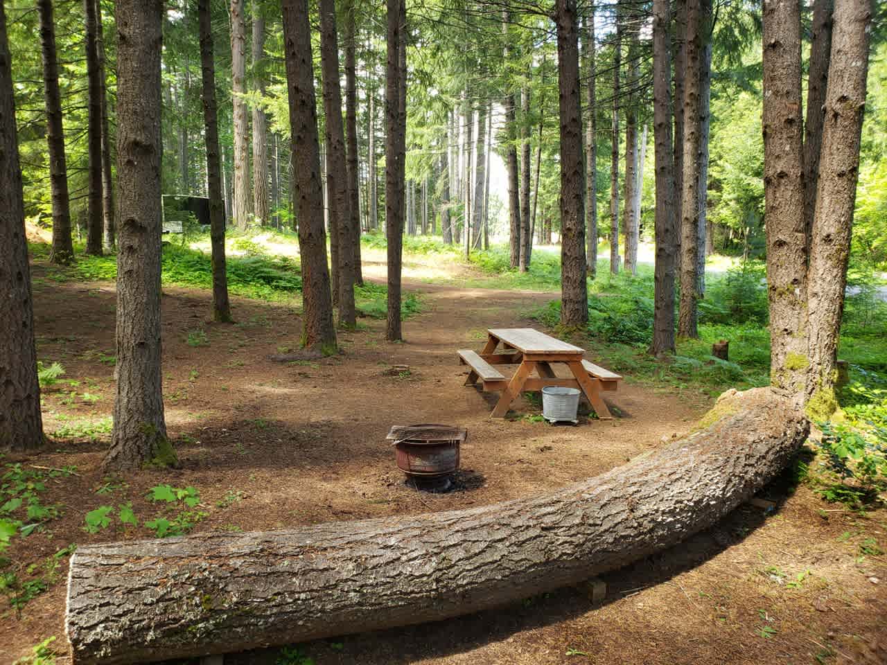 Discover Maupin Oregon: Best Campgrounds for Families and Friends