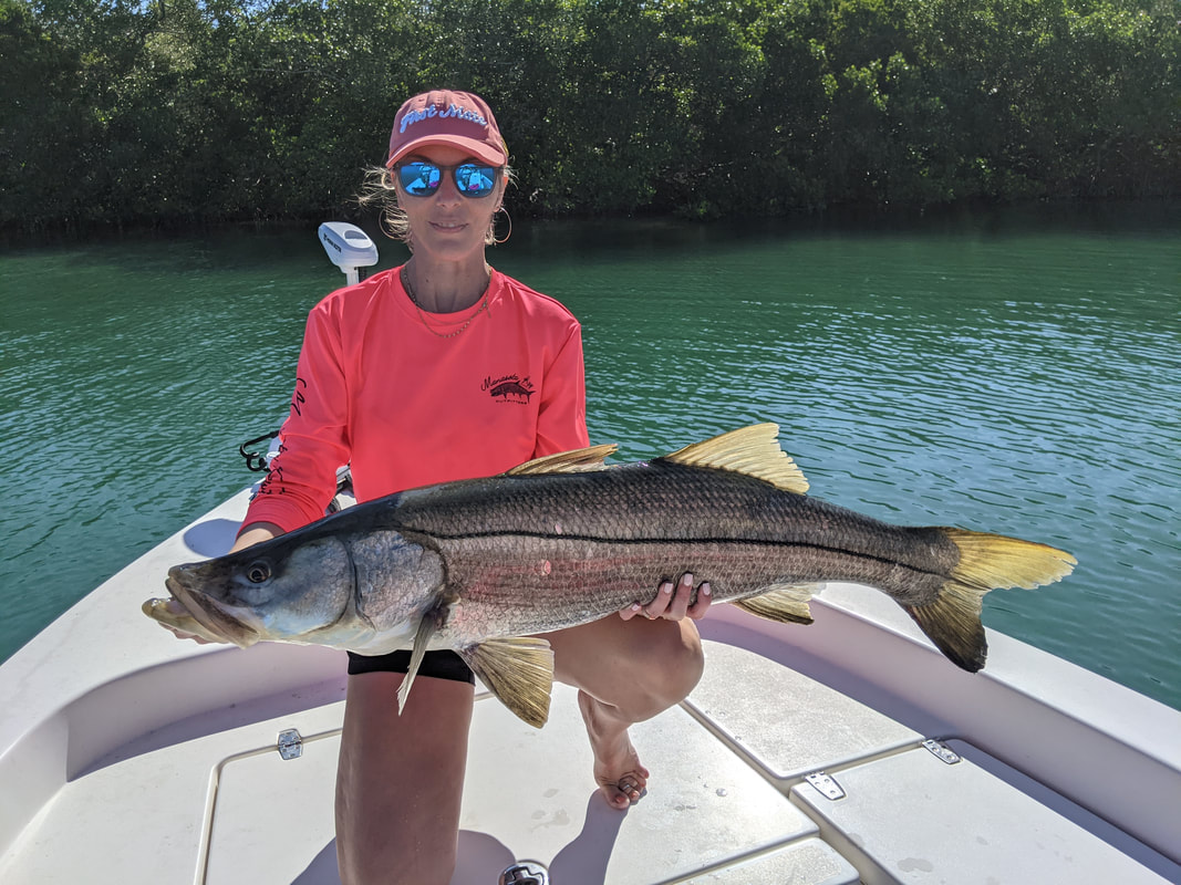 Top Catches in Englewood FL Fishing Report - Dont Miss Out!