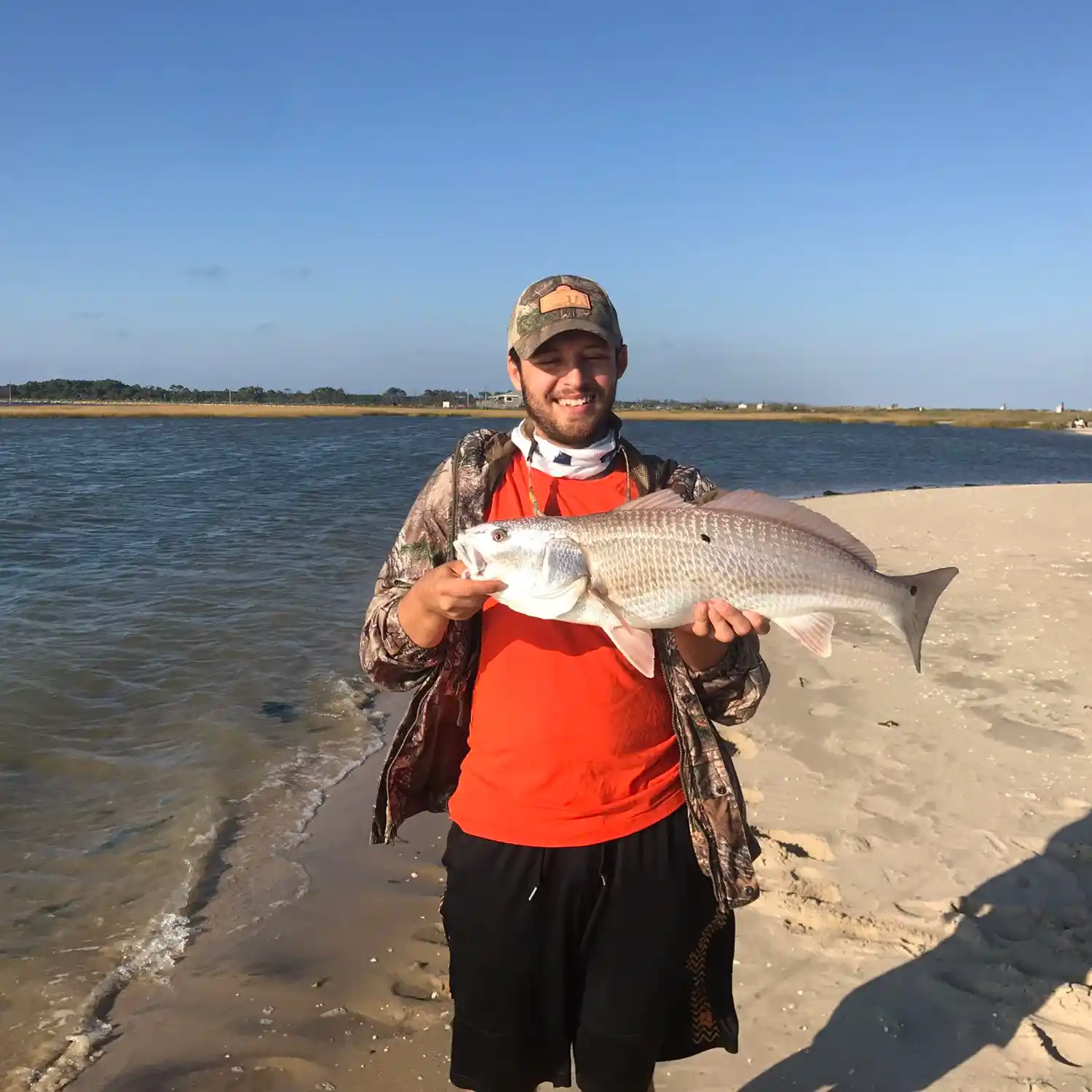 Chincoteague Fishing Report: Toms Cove & Swan Cove Spots