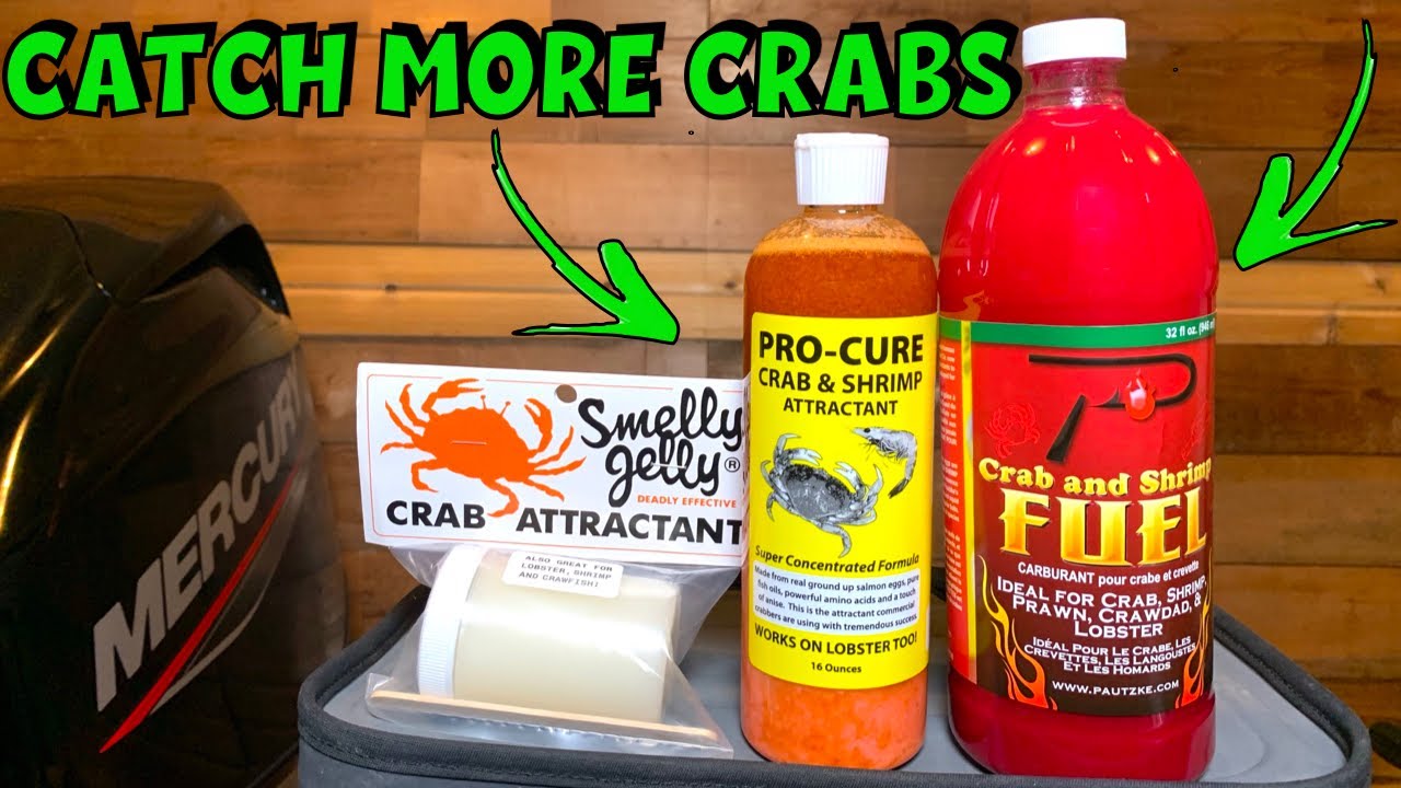 Best Crab Attractant: Which One Works Like Magic?