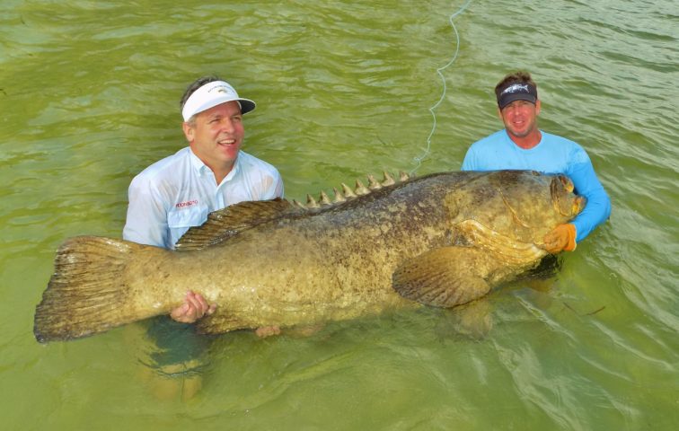 Top Catches in Englewood FL Fishing Report - Dont Miss Out!