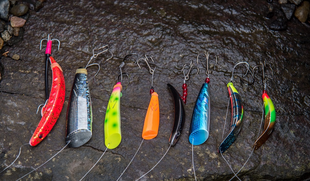 Killer Bait for Coho Salmon: Lure em in Like a Pro