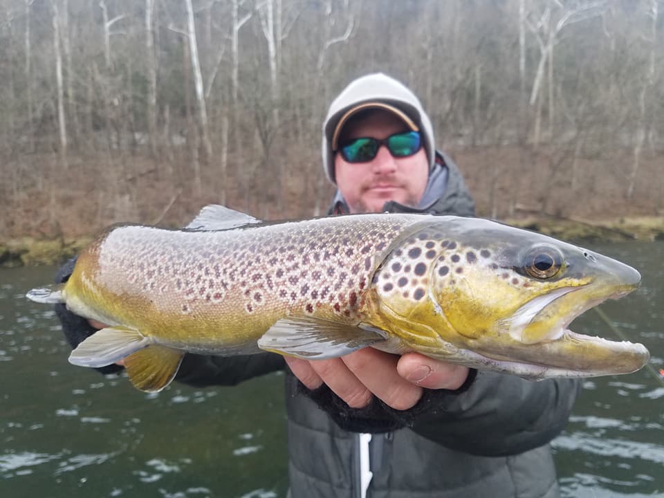 Trout Fishing in Arkansas: Find the Perfect Time