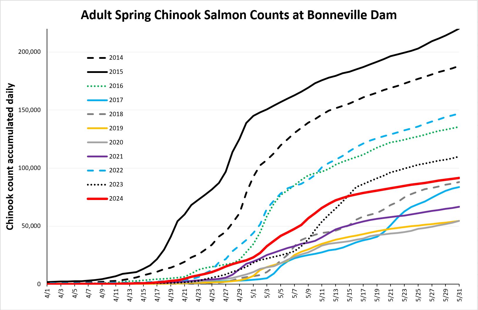 Bonneville Dam Salmon Count 2024: Daily Updates and Historical Data