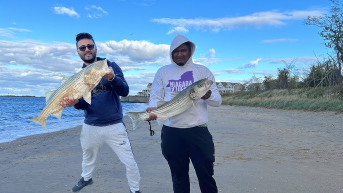 Unlocking Sandy Hook: Your Essential Surf Fishing Report