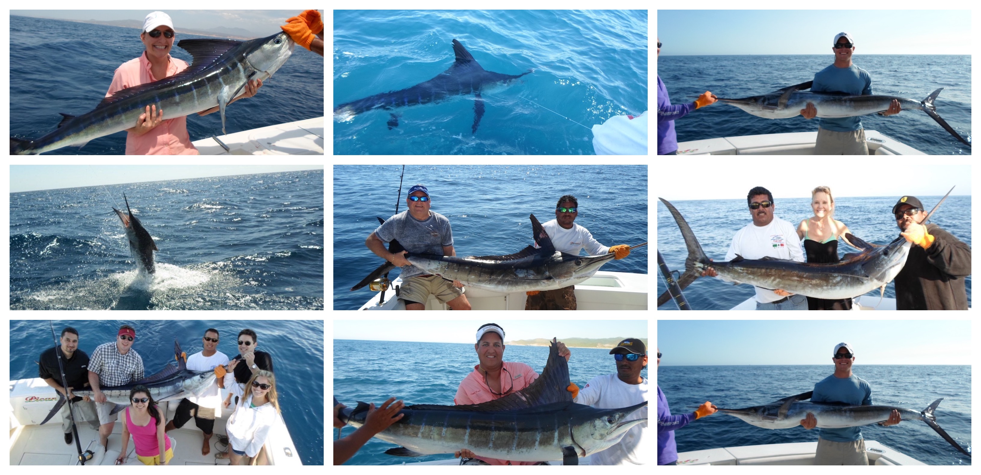 Cabo San Lucas Fishing Report: Weekly Updates and Best Catches